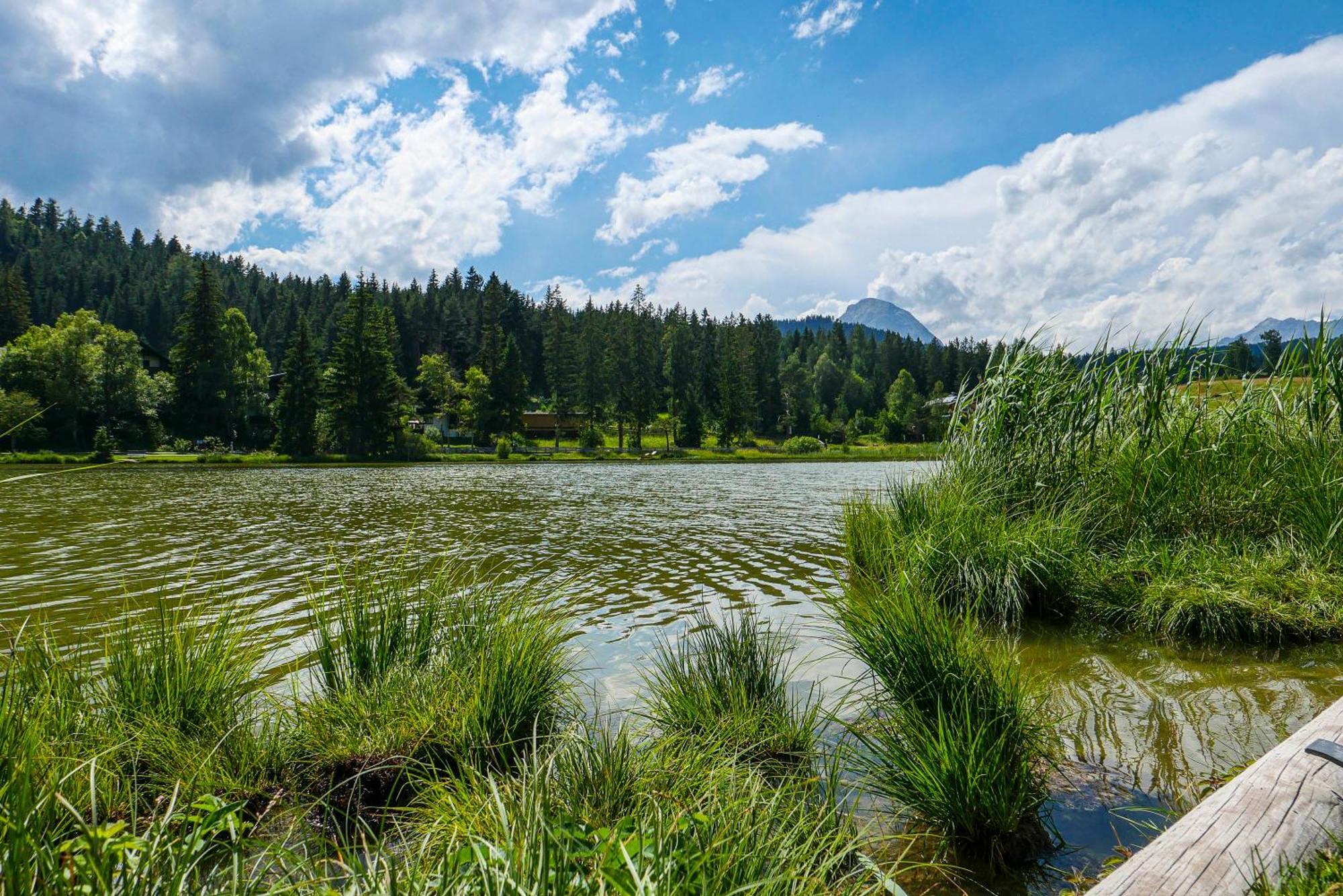 Landhaus Haid Seefeld w Tirolu Zewnętrze zdjęcie